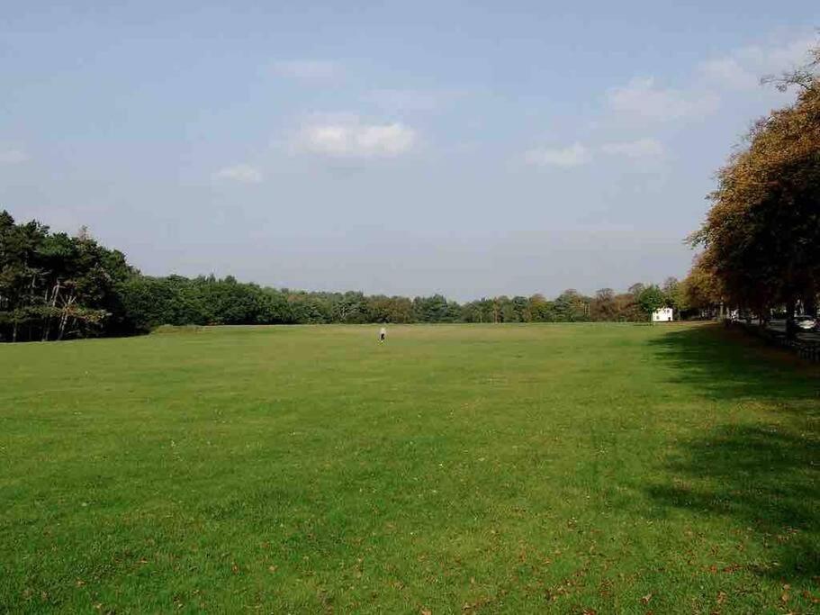 Spacious 4 Bed Rooms, Parking, Garden&Near Parks, Beaches&University Bournemouth Exterior foto